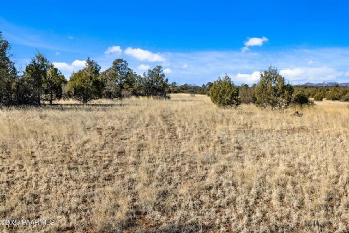 Земельный участок в Prescott, США № 474575