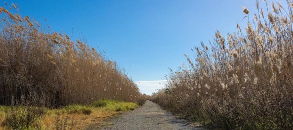 2 Schlafzimmer Stadthaus in Torrevieja, Spain, Nr. 189548 38