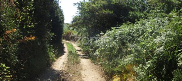 5290m² Land in Vila Cha, Portugal No. 146494 12