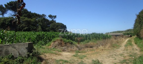 5290m² Land in Vila Cha, Portugal No. 146494 17