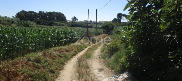 5290m² Land in Vila Cha, Portugal No. 146494 10