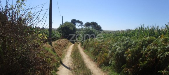 5290m² Land in Vila Cha, Portugal No. 146494 11