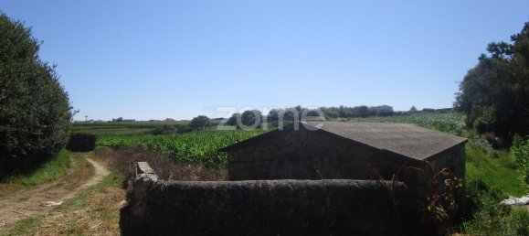 5290m² Land in Vila Cha, Portugal No. 146494 14