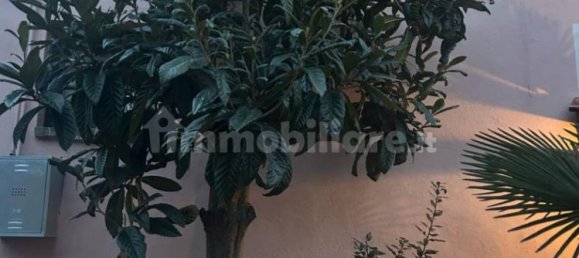1 bedroom Apartment in Pinerolo, Italy No. 56154 13