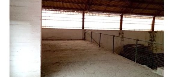 Imóvel comercial em Casalmaggiore, Italy 1638 m² N.º 279225 18