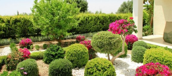 3 Schlafzimmer Villa in Paphos, Cyprus, Nr. 1004 7