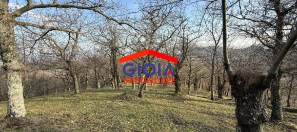  قطعة أرض في Roccamonfina, Italy 44767متر مربع رقم 135991 20