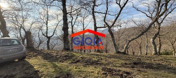  قطعة أرض في Roccamonfina, Italy 44767متر مربع رقم 135991 12