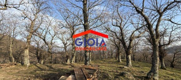  قطعة أرض في Roccamonfina, Italy 44767متر مربع رقم 135991 13