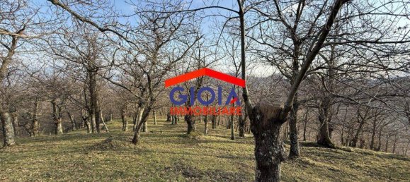  قطعة أرض في Roccamonfina, Italy 44767متر مربع رقم 135991 22