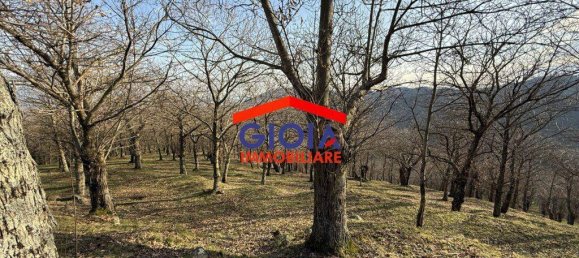  قطعة أرض في Roccamonfina, Italy 44767متر مربع رقم 135991 24