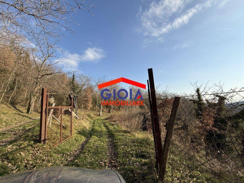  قطعة أرض في Roccamonfina, Italy 44767متر مربع رقم 135991