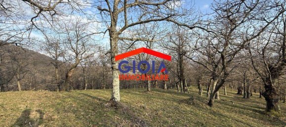  قطعة أرض في Roccamonfina, Italy 44767متر مربع رقم 135991 21