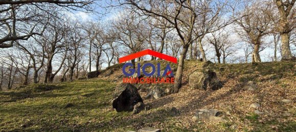  قطعة أرض في Roccamonfina, Italy 44767متر مربع رقم 135991 23