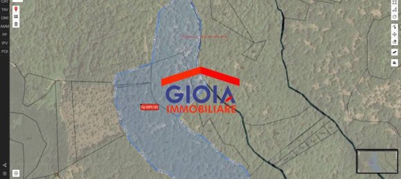  قطعة أرض في Roccamonfina, Italy 44767متر مربع رقم 135991 26