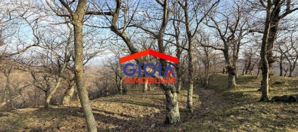  قطعة أرض في Roccamonfina, Italy 44767متر مربع رقم 135991 9