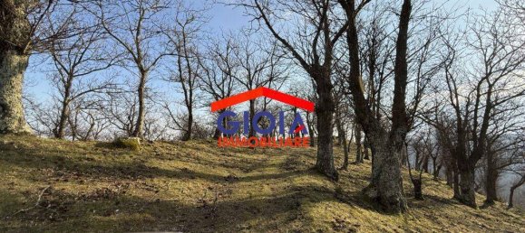  قطعة أرض في Roccamonfina, Italy 44767متر مربع رقم 135991 5