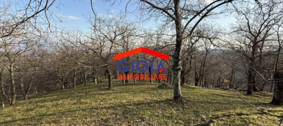  قطعة أرض في Roccamonfina, Italy 44767متر مربع رقم 135991 16