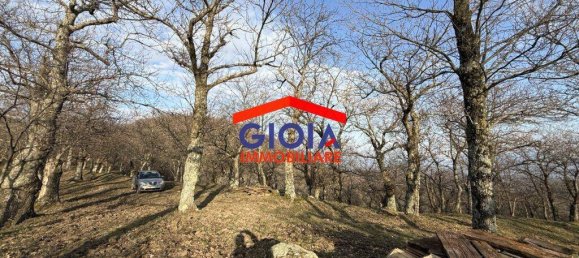  قطعة أرض في Roccamonfina, Italy 44767متر مربع رقم 135991 14