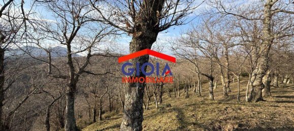  قطعة أرض في Roccamonfina, Italy 44767متر مربع رقم 135991 15