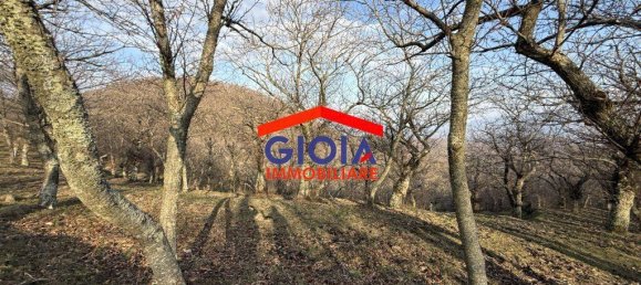  قطعة أرض في Roccamonfina, Italy 44767متر مربع رقم 135991 10