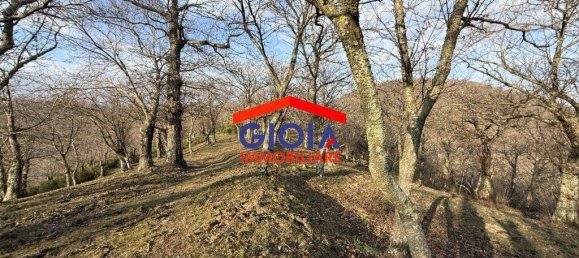  قطعة أرض في Roccamonfina, Italy 44767متر مربع رقم 135991 11