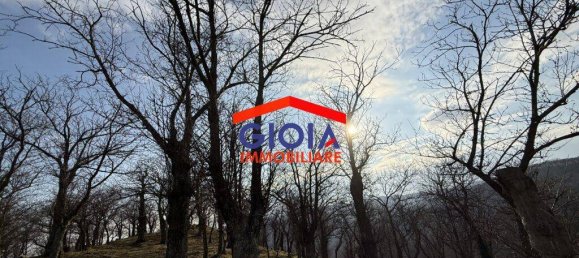  قطعة أرض في Roccamonfina, Italy 44767متر مربع رقم 135991 7