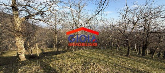  قطعة أرض في Roccamonfina, Italy 44767متر مربع رقم 135991 18