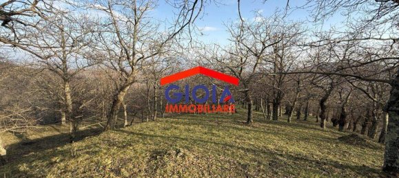  قطعة أرض في Roccamonfina, Italy 44767متر مربع رقم 135991 17