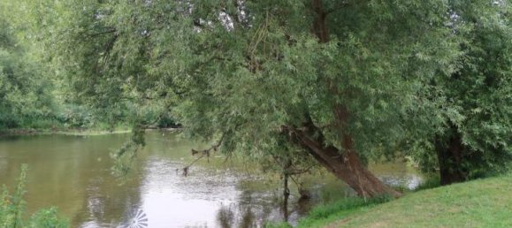 12غرفة فيلا في Saarbrucken, Germany رقم 81390 12