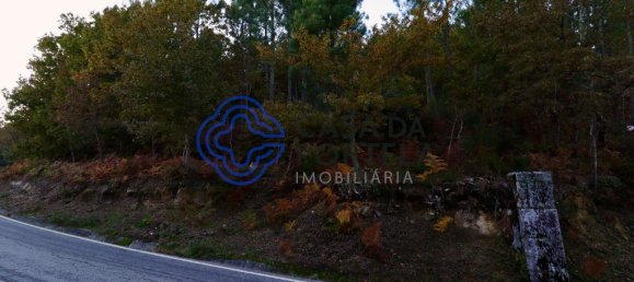 Terreno em Baião, Portugal 28570 m² N.º 36135 4