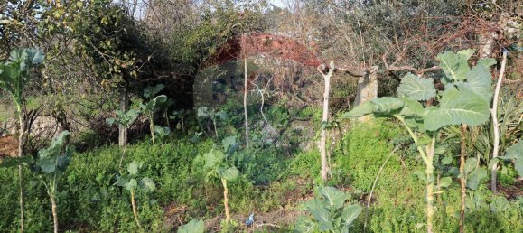 3 bedrooms House in Baiao, Portugal No. 173790 12