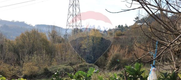 3 bedrooms House in Baiao, Portugal No. 173790 13