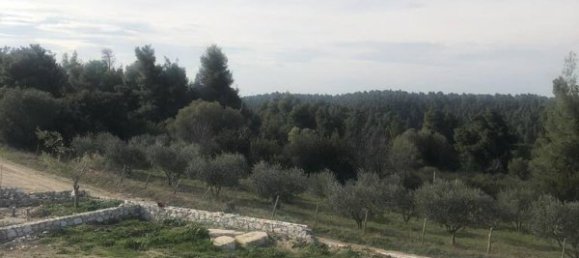 Вилла с 3 спальнями в Халкидики, Греция № 1142 12