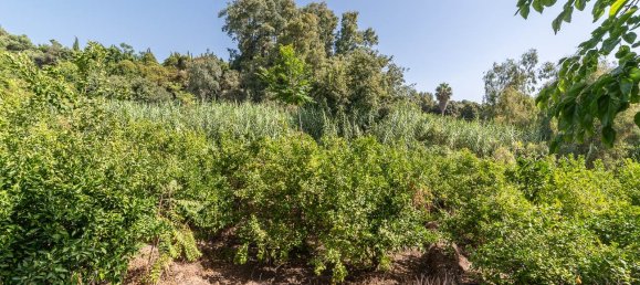 Villa de 3 dormitorios en Riposto, Italy No. 282827 12