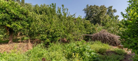 Villa de 3 dormitorios en Riposto, Italy No. 282827 11