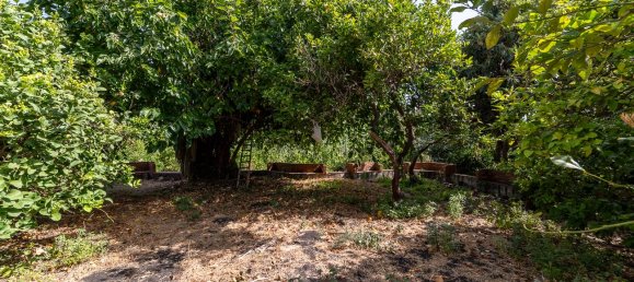 Villa de 3 dormitorios en Riposto, Italy No. 282827 13