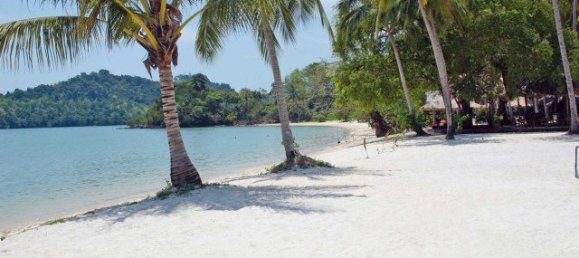 3200m² Commercial property in Phang Nga, Thailand No. 12427 2