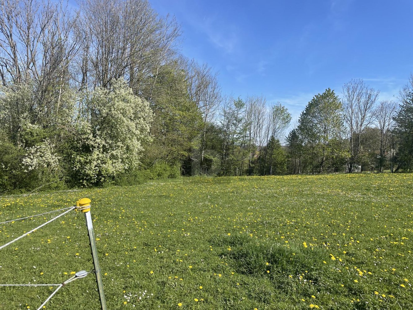  Land in Starnberg, Germany No. 192620