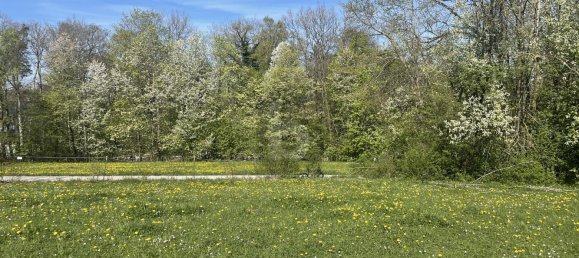  Land in Starnberg, Germany No. 192620 2