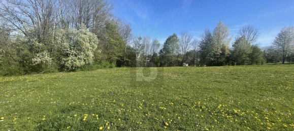  Land in Starnberg, Germany No. 192620 4