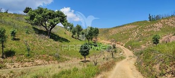 6 bedrooms House in Sao Teotonio, Portugal No. 31334 19