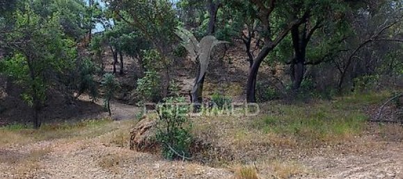 6 bedrooms House in Sao Teotonio, Portugal No. 31334 52