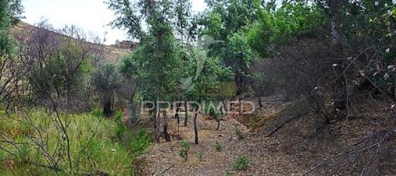 6 bedrooms House in Sao Teotonio, Portugal No. 31334 45