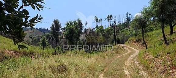 6 bedrooms House in Sao Teotonio, Portugal No. 31334 43