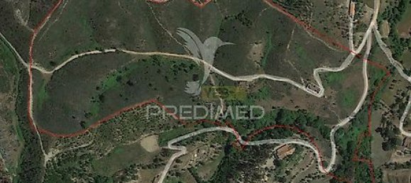 6 bedrooms House in Sao Teotonio, Portugal No. 31334 48