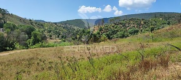 6 bedrooms House in Sao Teotonio, Portugal No. 31334 21