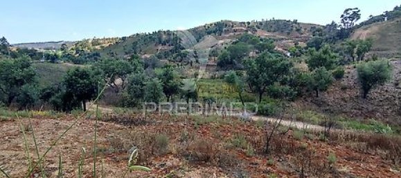 6 bedrooms House in Sao Teotonio, Portugal No. 31334 33