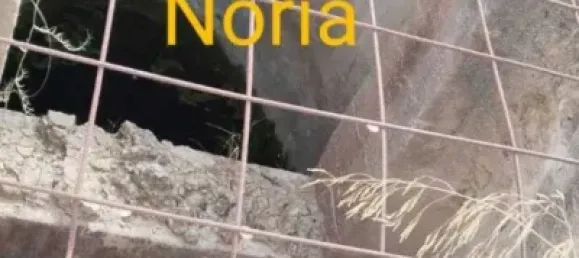  عقار تجاري في Valencia, Spain رقم 134381 5