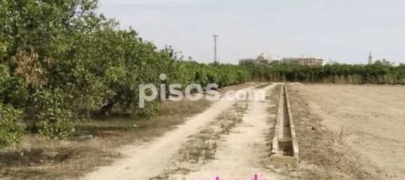  عقار تجاري في Valencia, Spain رقم 134381 6